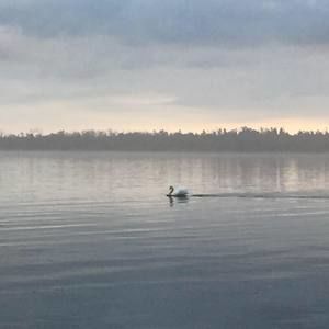 Meet your Posher, Katrina